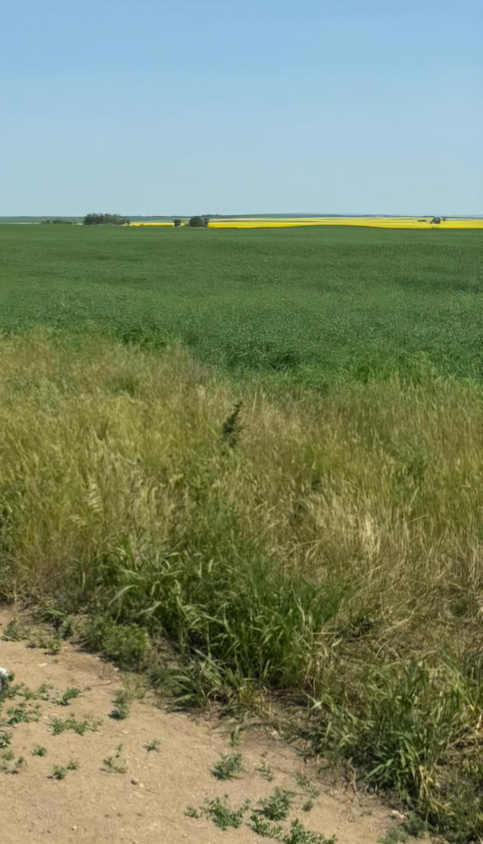 Photo of AGRICULTURE LAND FOR RENT OYEN, AB AREA