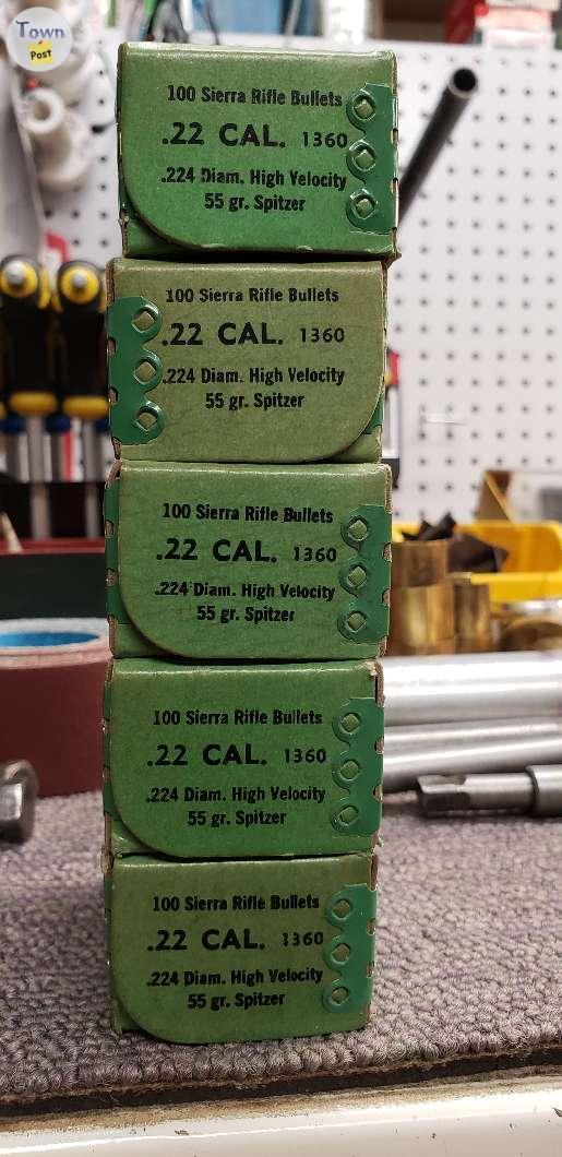 Photo of 500 Sierra 224 55gr SP bullets