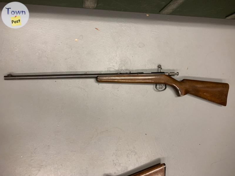 Photo of Wanted 22 Caliber Garden Gun