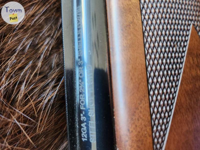 Photo of Bettinsoli 12 gauge O/U shotgun