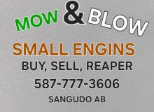 Mow And Blow Small Engines's picture