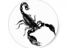 BlackScorpion's picture