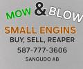 Mow And Blow Small Engines's picture